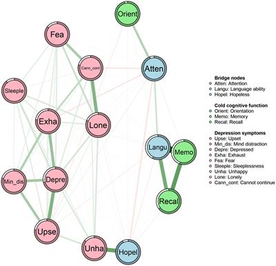 Network analysis of cold cognition and depression in middle-aged and elder population: the moderation of grandparenting